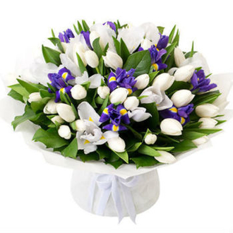 Букет из 8 синих ирисов, 19 белых тюльпанов высотой около 40 см.